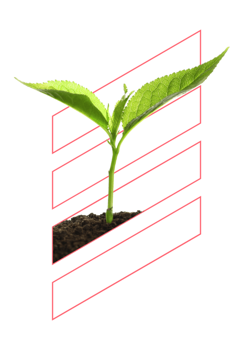 Diamond sustainability and green credentials