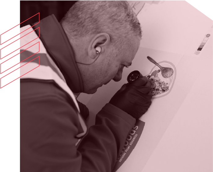 Diamond attention to detail